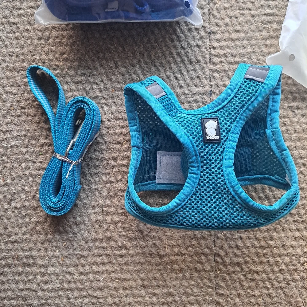 Turquoise Dotoner XS Cat/Dog Harness with Leash in package